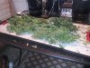 20131014_095245.jpg