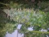 20131014_095415.jpg