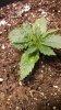 IMG_20131015_162250_875.jpg