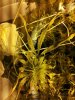 20131015_145005.jpg 20131015_145005.jpg