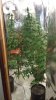 20131015_201548.jpg 20131015_201548.jpg