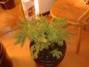 20131015_222615.jpg