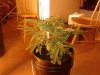 20131015_222652.jpg