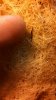 IMG_20131016_140628_837.jpg