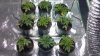 2012-11-18_20-25-51_898.jpg