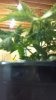 2012-11-22_17-58-36_61.jpg