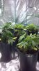 2012-11-22_18-05-20_86.jpg