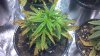 2012-11-27_10-24-34_577.jpg