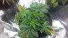 2012-11-27_10-24-44_852.jpg
