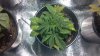 2012-11-27_10-24-58_427.jpg