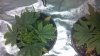 2012-11-27_10-25-50_717.jpg