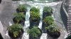 2012-11-27_10-26-10_819.jpg