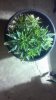 2012-12-05_18-15-23_758.jpg