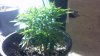 2012-12-05_18-15-34_119.jpg