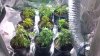 2012-12-11_19-25-48_384.jpg