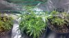 2012-12-11_19-27-17_457.jpg