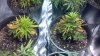 2012-12-11_19-27-28_10.jpg