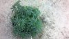 2012-12-17_12-04-48_980.jpg