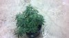 2012-12-17_12-04-57_173.jpg
