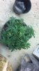 2012-12-17_12-27-09_955.jpg