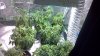 2012-12-30_18-33-35_955.jpg