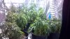 2012-12-30_18-34-10_175.jpg