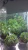 2013-01-01_19-35-18_558.jpg