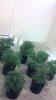 2013-01-08_14-24-46_942.jpg
