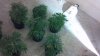 2013-01-08_14-25-02_69.jpg