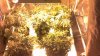 2013-01-08_17-10-03_633.jpg