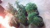 2013-01-15_16-23-55_403.jpg