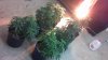 2013-01-15_16-24-06_933.jpg