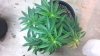 2013-01-15_16-38-21_614.jpg