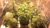 2013-01-15_16-49-04_474.jpg