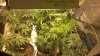 2013-01-18_16-52-40_847.jpg