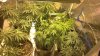 2013-01-18_16-53-26_473.jpg