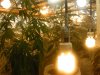 DSCN0802.jpg