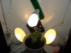DSC01600.jpg
