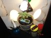 DSC01589.jpg
