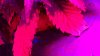 WP_20131016_16_34_29_Pro.jpg