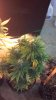 2013-03-01_13-58-05_644.jpg