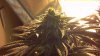 2013-03-01_13-58-43_970.jpg