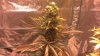 2013-03-01_16-18-16_971.jpg