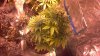 2013-03-01_16-19-00_780.jpg