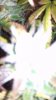 2013-03-09_20-06-36_536.jpg