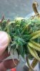2013-03-16_12-45-53_133.jpg