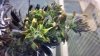 2013-03-23_16-57-09_601.jpg