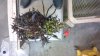 2013-03-23_16-57-39_473.jpg