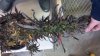 2013-03-23_16-57-51_692.jpg