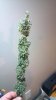 2013-03-28_21-08-55_752.jpg